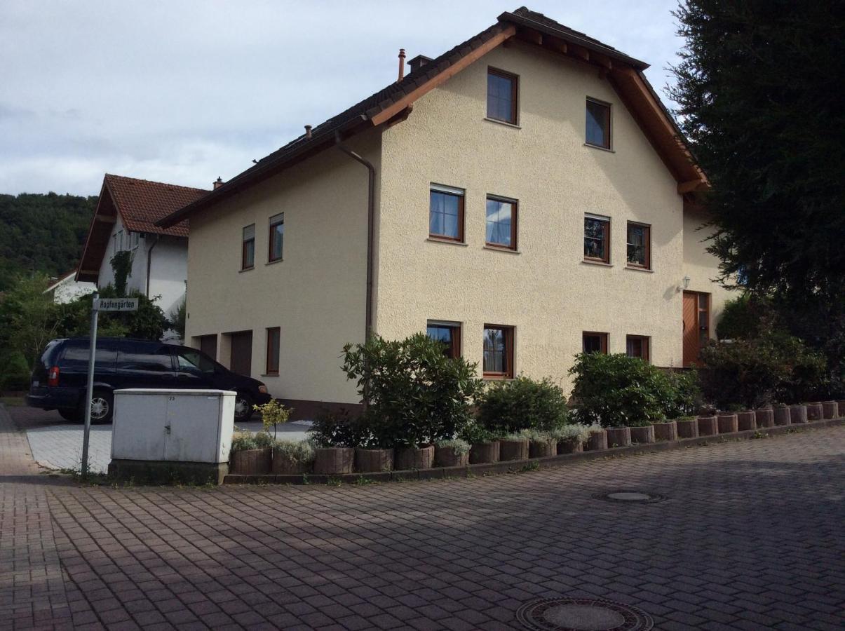Mountain View Rooms Kindsbach Екстер'єр фото